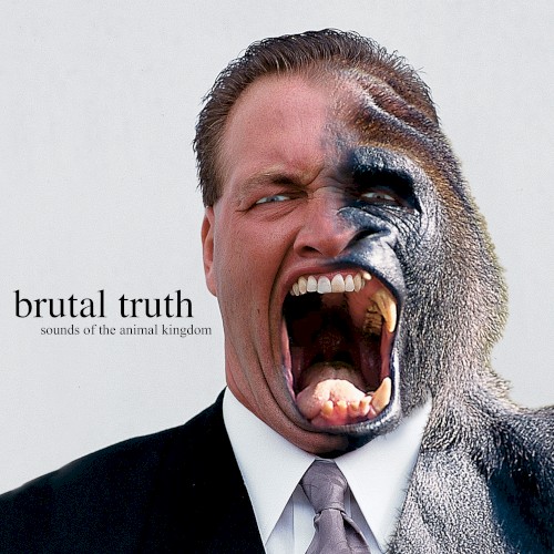 Sounds of the Animal Kingdom