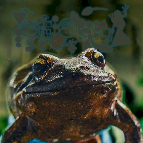 Every Day Is Frog Day
