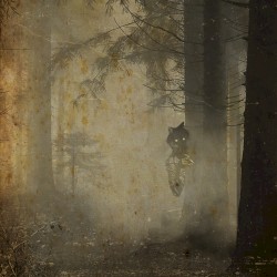 Púca