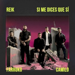 Si me dices que sí