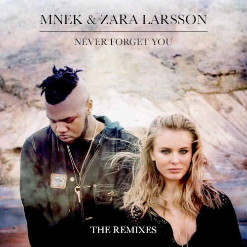 Never Forget You (The Remixes)