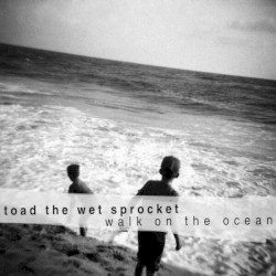 Walk on the Ocean