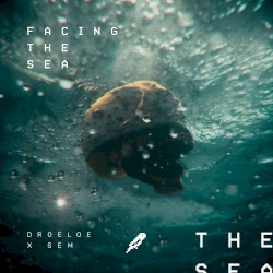 Facing the Sea