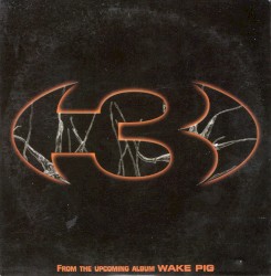 From The Upcoming Album Wake Pig