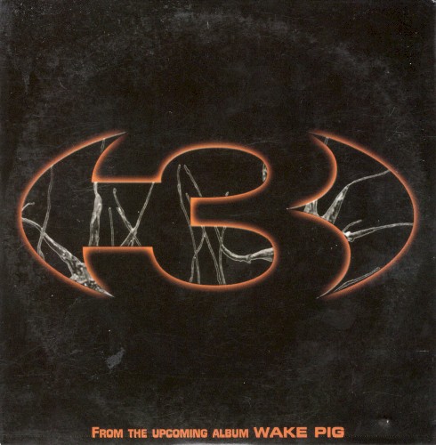 From The Upcoming Album Wake Pig