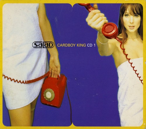 Cardboy King