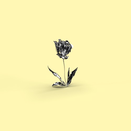 Bloom