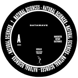 Datawave