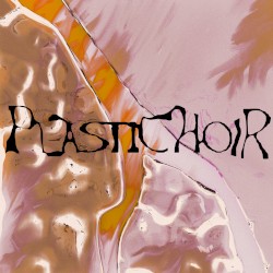 Plastichoir