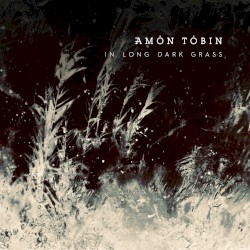 In Long Dark Grass