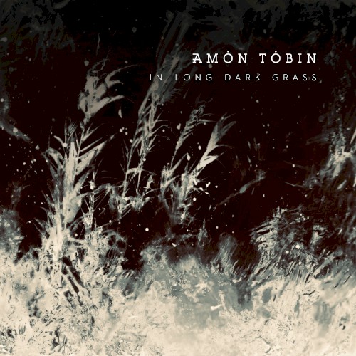In Long Dark Grass