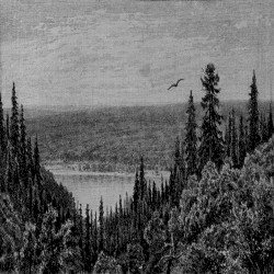Journeying Through the Summerlands