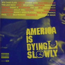 America Is Dying Slowly