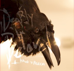 Hawk vs Pigeon