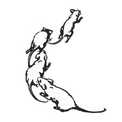 False Rats