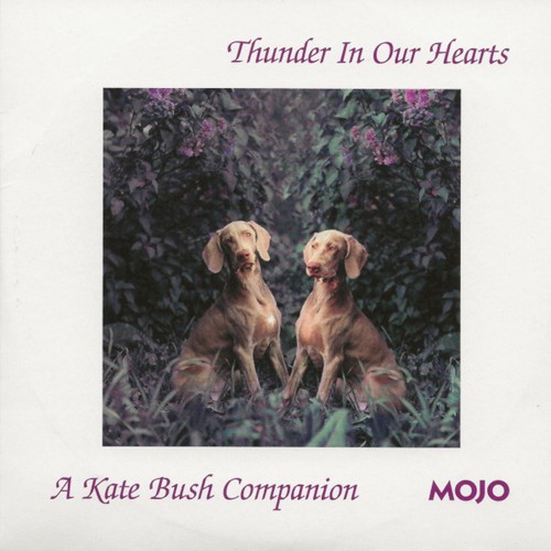 Thunder in Our Hearts: A Kate Bush Companion
