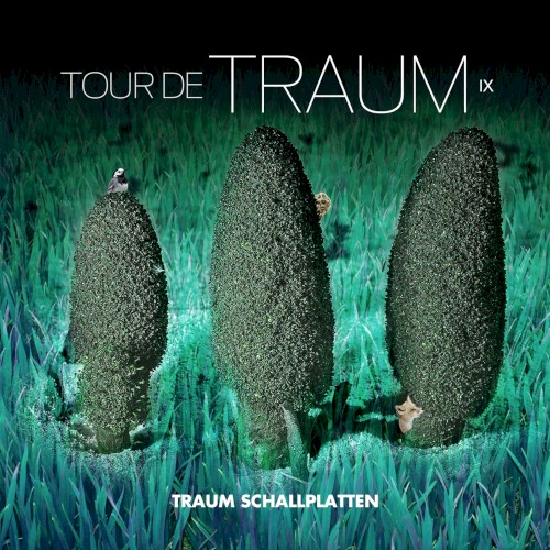Tour de Traum IX