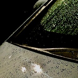 Frühjahrsgewitter (Live Recordings)