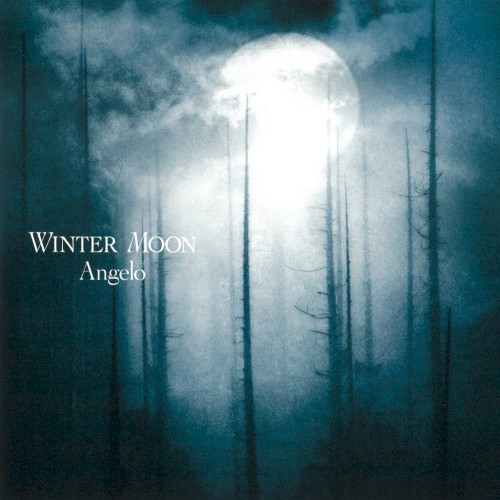 WINTER MOON