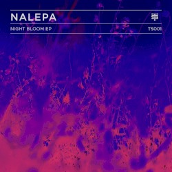 Night Bloom EP