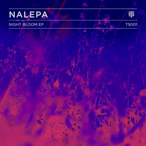Night Bloom EP