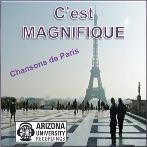 Paris magnifique