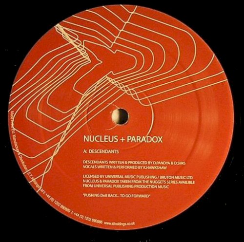 Descendants / Night Theme (Paradox remix)
