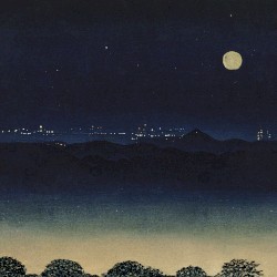 indigo