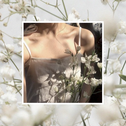 Enchanted Dreams