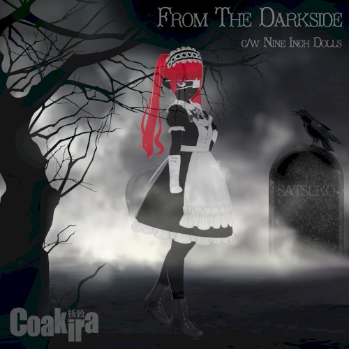 From the Darkside