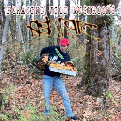Foraging Wild Mushrooms