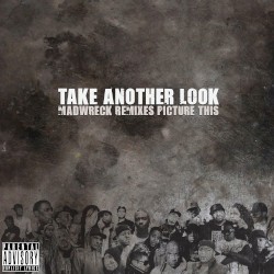 Take Another Look (Madwreck Remixes - Picture This)