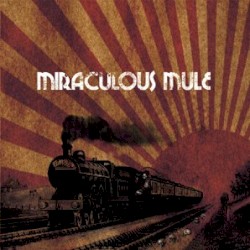Miraculous Mule