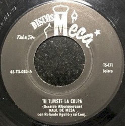 Tú tuviste la culpa / Fiebre de orgullo