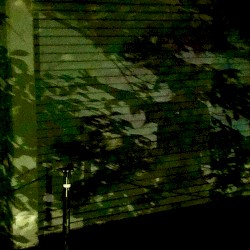 緑の虹の縁 (Anniversaries Few Light Source)
