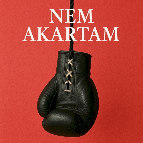 NEM AKARTAM