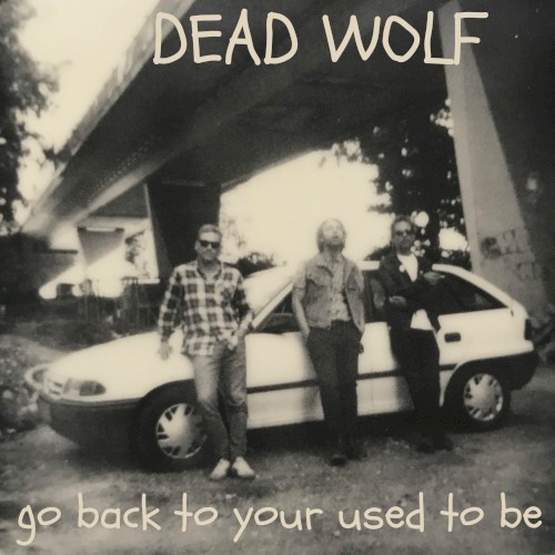 Go Back to Your Used to Be