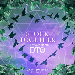 Flock Together (Reimagined Mix)