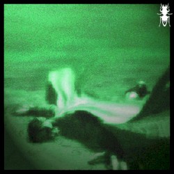 Spectral Plane