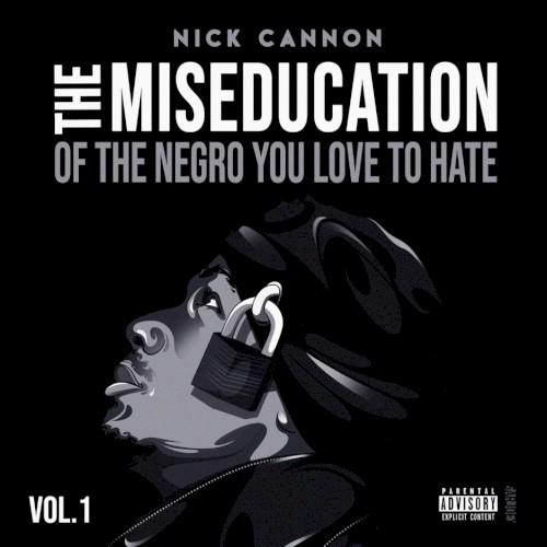 The Miseducation of the Negro You Love to Hate