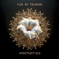 Indestructible