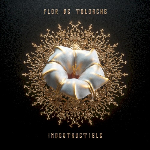 Indestructible