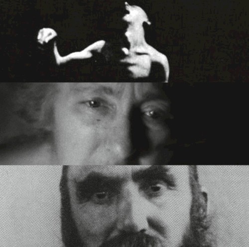 Voices