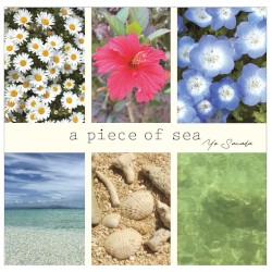 a piece of sea