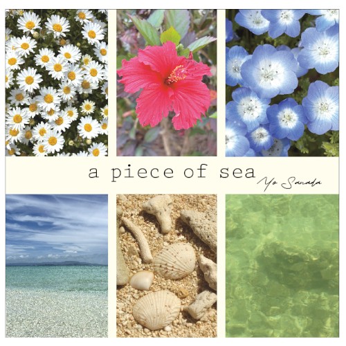 a piece of sea