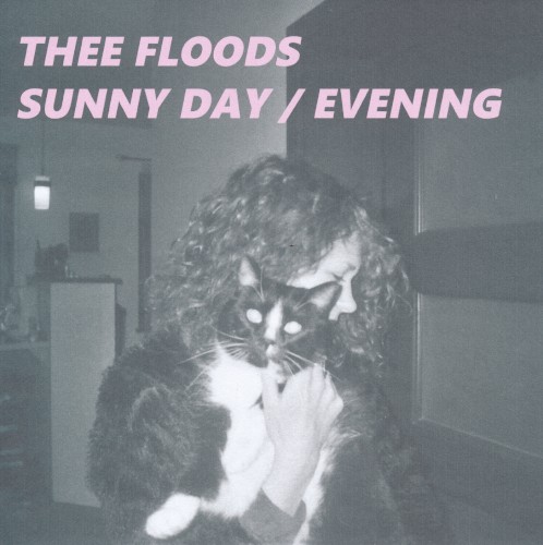 Sunny Day / Evening