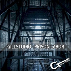 Prison Labor
