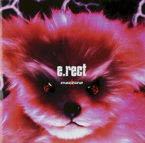 e.rect