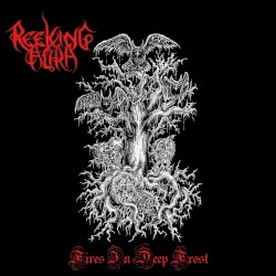 Fires in Deep Frost