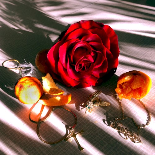 Roses